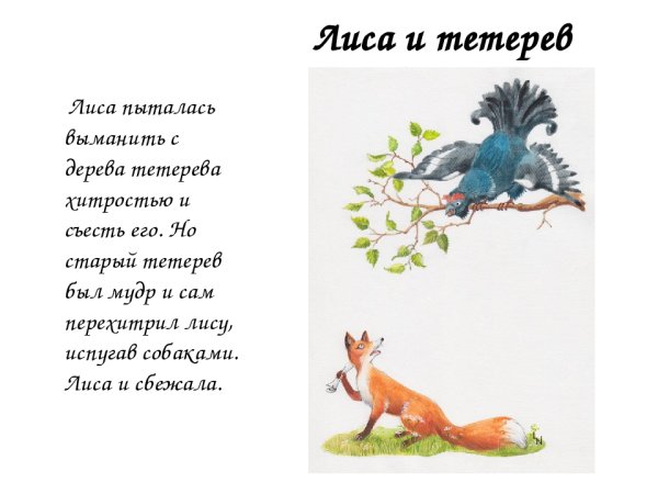 Сказка про лису и тетерева