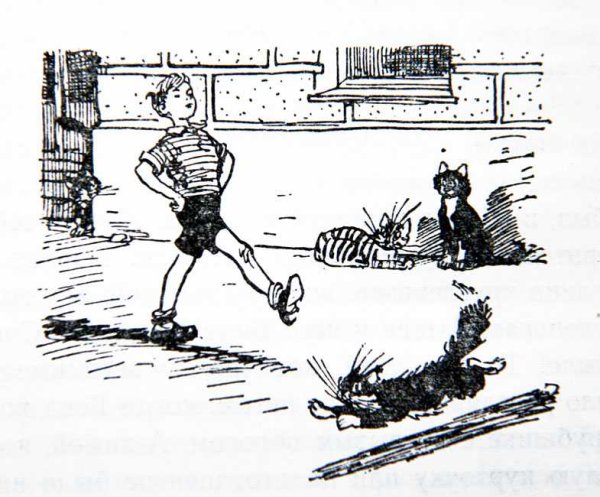 Носов Толя Клюквин