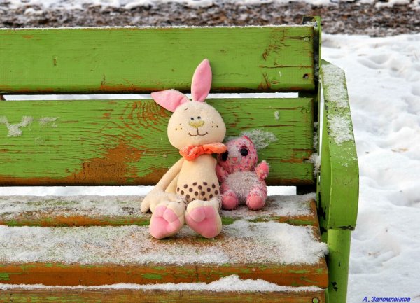 Брошенный зайчик