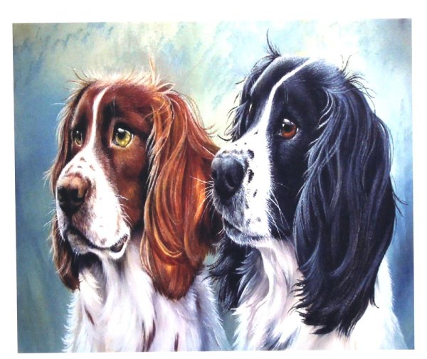 Живопись по номерам собаки