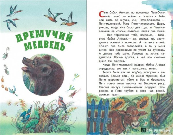 Паустовский дремучий медведь книга