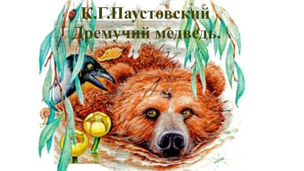 Паустовский дремучий медведь картинки