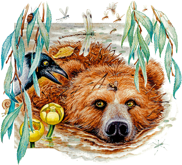 Константин Паустовский дремучий медведь