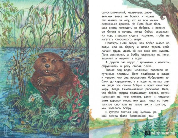 Сказка Паустовского дремучий медведь