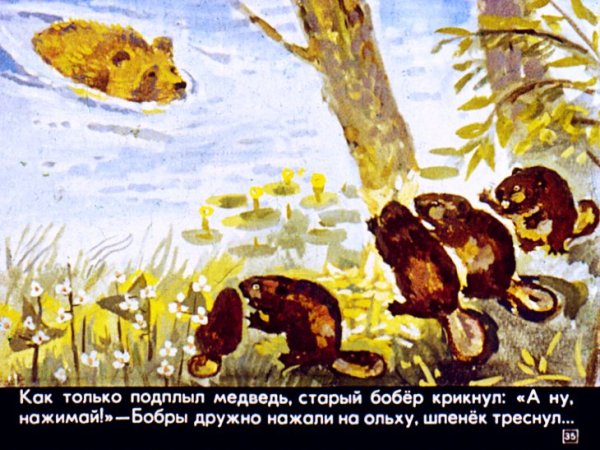 Паустовский дремучий медведь