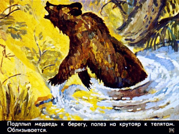 Паустовский медведь