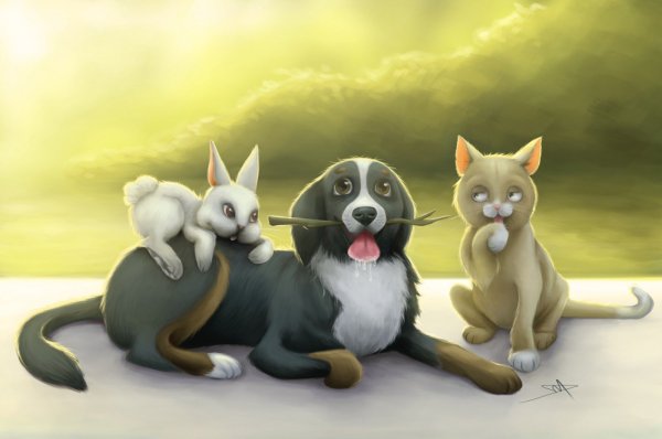 Кошка и собака мультяшные