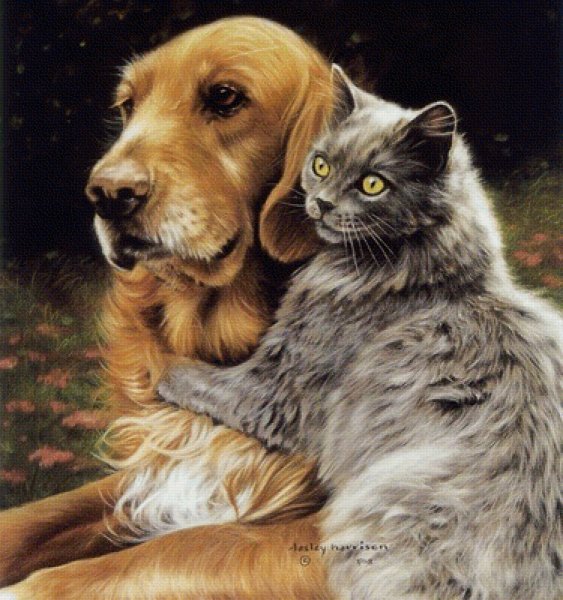 Lesley Harrison картины