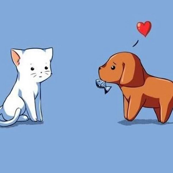 Милые кошечки и собачки рисунки