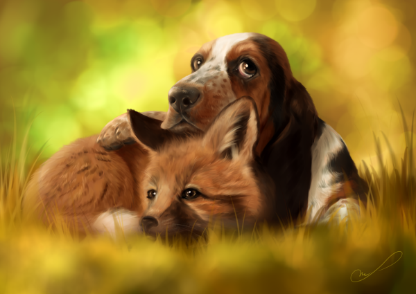 Собака и лиса арт