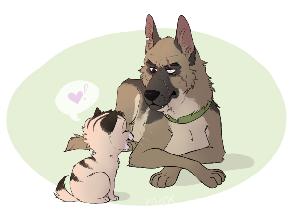 Котёнок Пикси и пёс брут