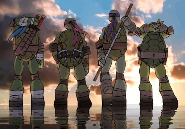 Черепашки-ниндзя 2012фазитоит