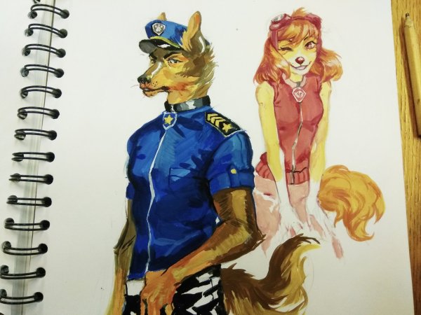 Гонщик и Скай любовь