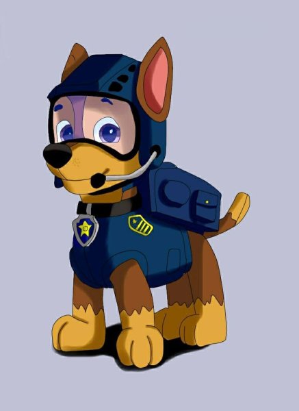 Щенячий патруль гонщик агент