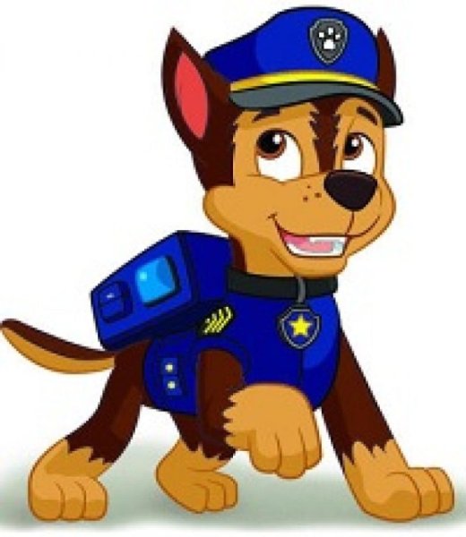 Гонщик из Щенячьего патруля