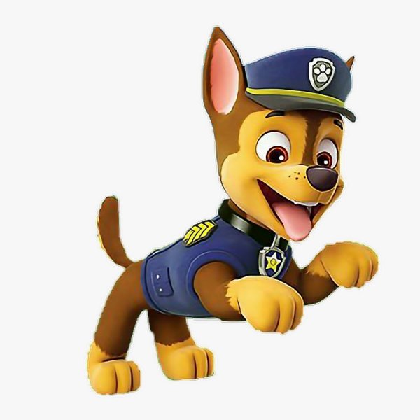 Гонщик Чейз Щенячий патруль