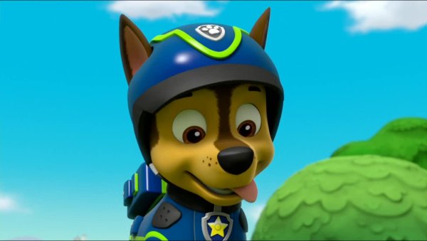 Чейз Щенячий патруль Чейз