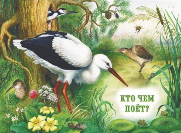 Виталий Бианки Аист