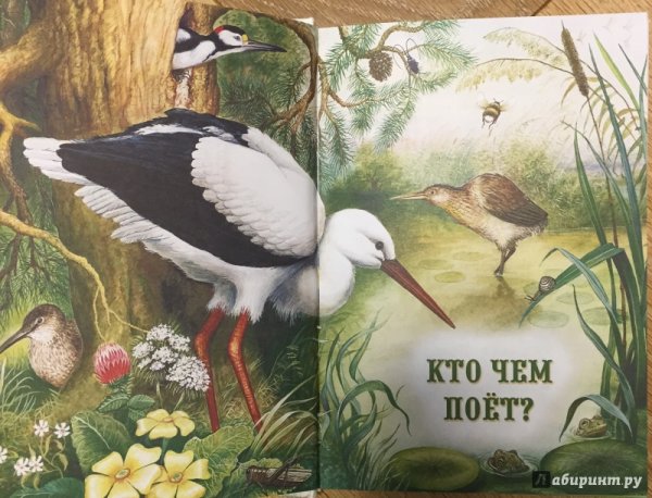 Кто чем поет?