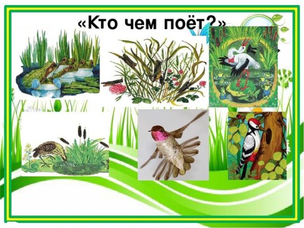 Бианки в.в. "кто чем поет?"