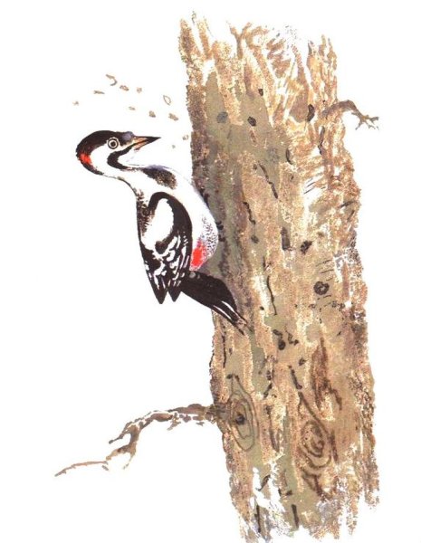 Бианки в.в. "кто чем поет?"