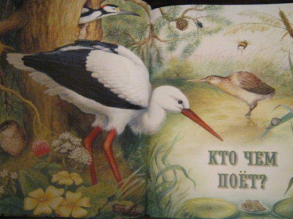 Бианки кто чем поет обложка книги