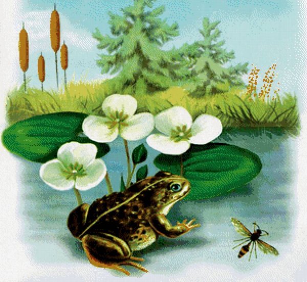 Виталий Бианки Лягушонок