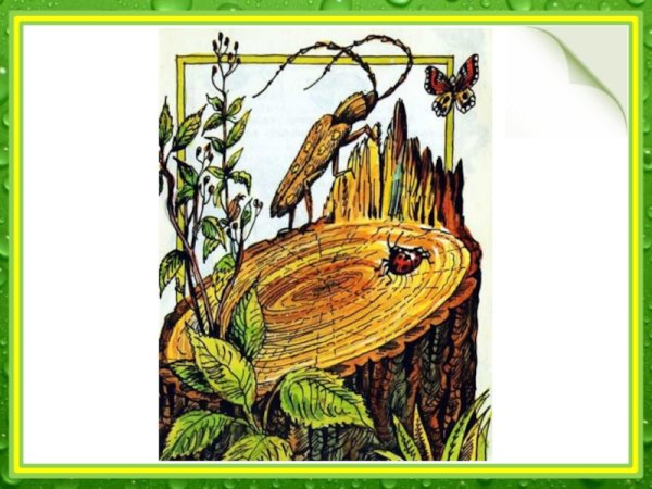 Бианки кто чем поет иллюстрации