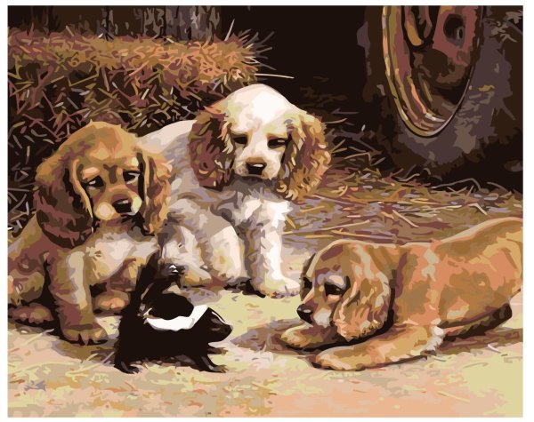 Кавалер Кинг Чарльз спаниель