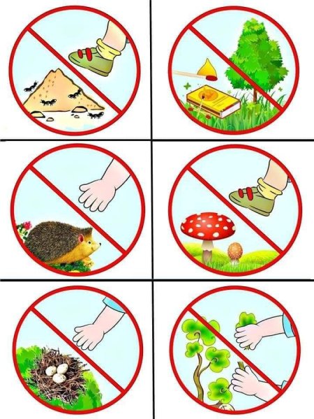 Картинки по экологии для детей