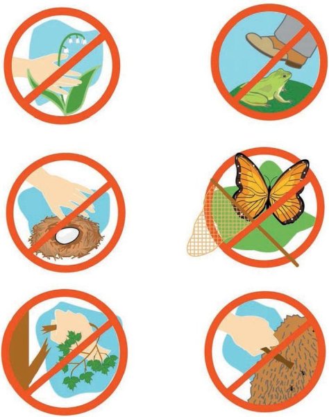 Знаки поведения в природе