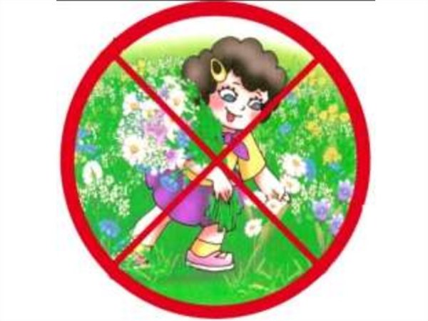 Знаки поведения в природе