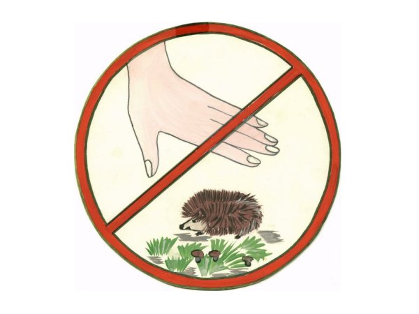 Природоохранные знаки