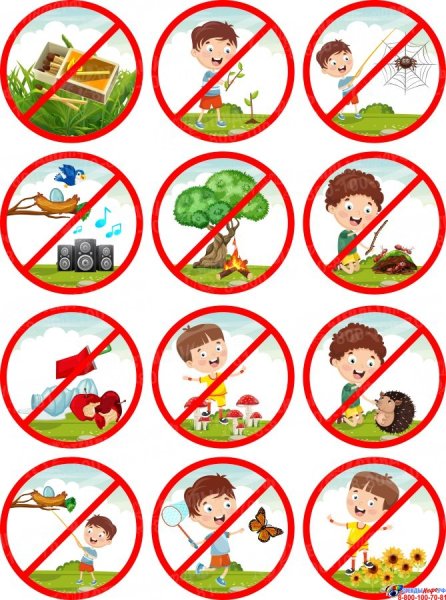 Правила поведения на природе