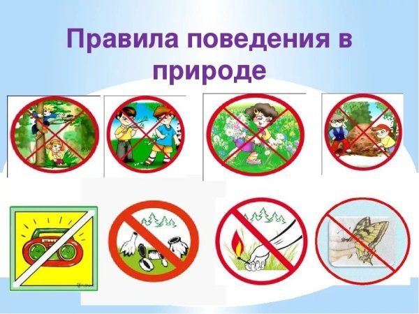 Правила поведения втприроде