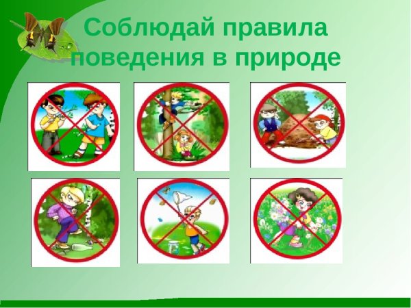 Правила поведения на природе