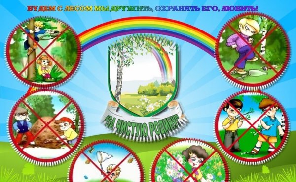 Правила поведения на природе