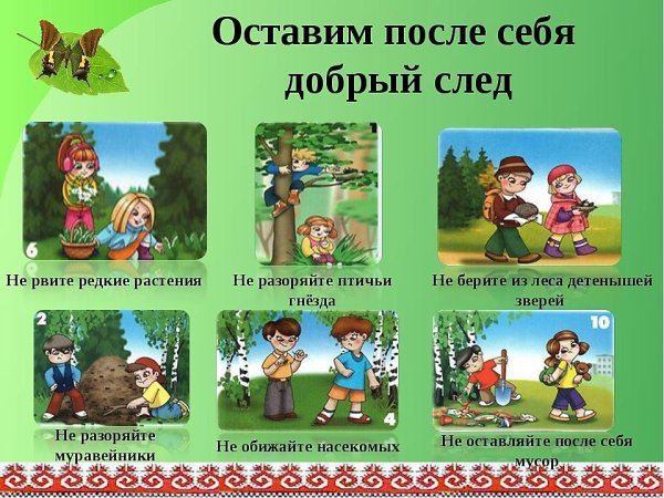 Правила поведения на природе