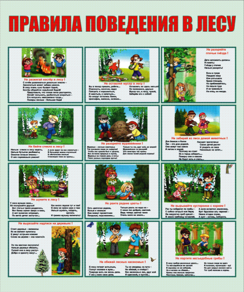 Правила поведения в Дему