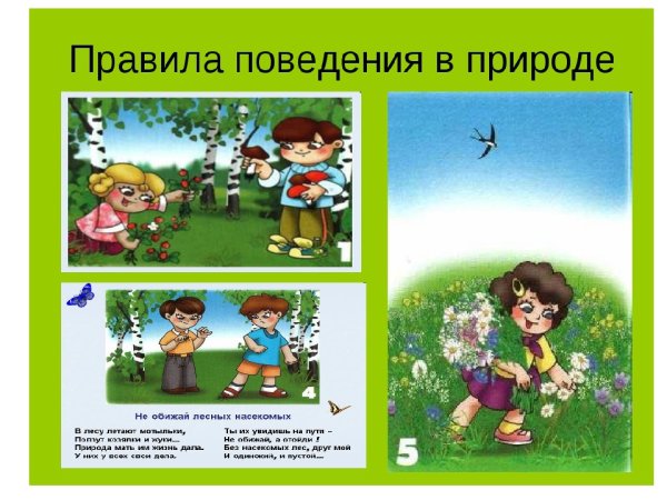 Правила поведения втприроде