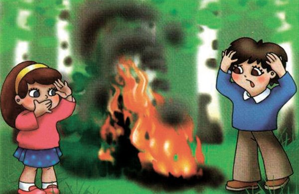 Неправильное поведение в лесу