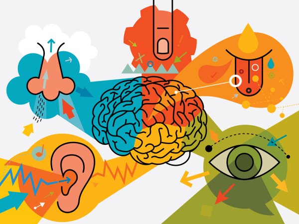 Восприятие иллюстрация