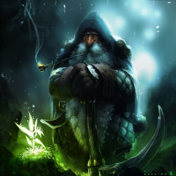 Дварф Колдун