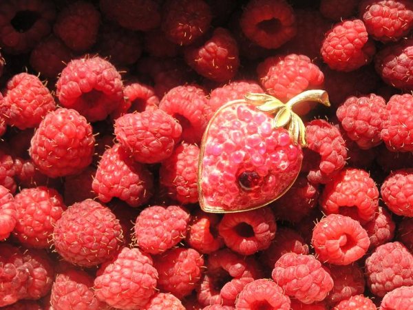 Малина арты