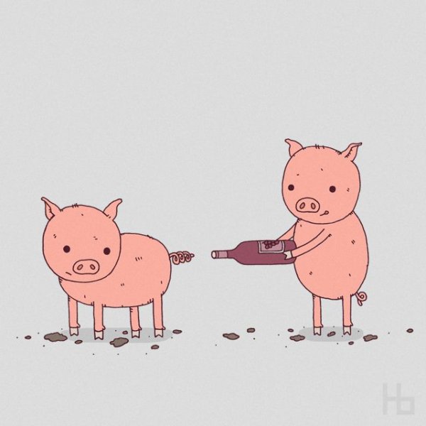 Свинья Саша