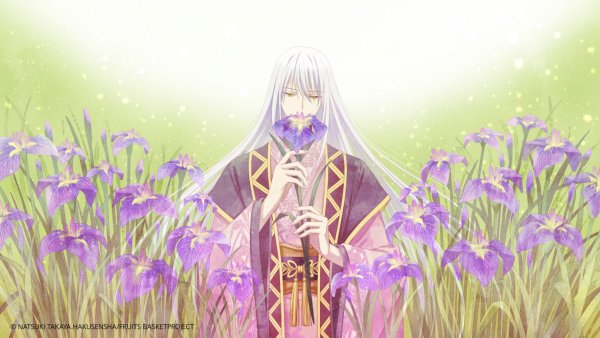 Корзинка фруктов 2019 Аямэ