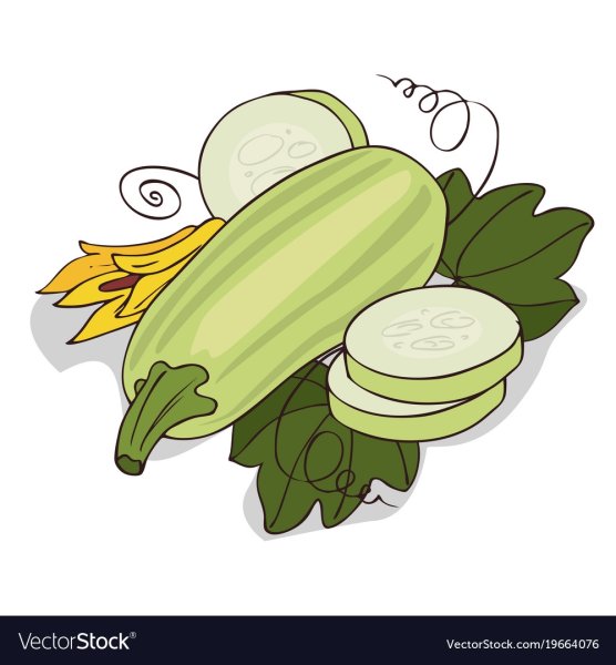 Кабачок цуккини нарисованный