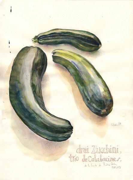 Жизнь кабачка Симон