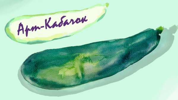 Кабачок Акварельные рисунки