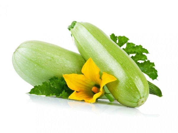 Кабачок для детей